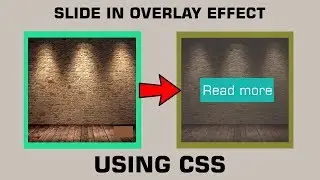 Slide In Hover Overlay Effect on Image Tutorial Using HTML and CSS