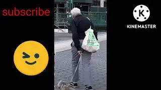 Funny animals 😂😂