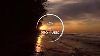 Stisema & N-Chased - Stay The Night (Oh My Oh My) (feat. Member)