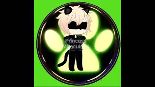 My first Alight Motion Animation on Chat Noir Miraculous 