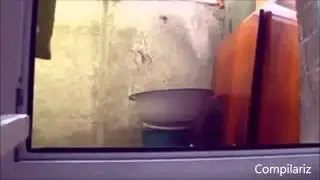 смешные   коты  +100500