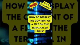 How to display the content of a file on the terminal in Linux? 👉 LINUX QUIZ 