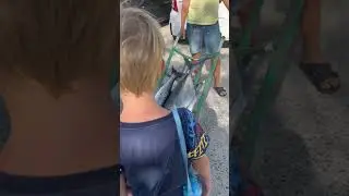 Рыбалка удалась 😀😅