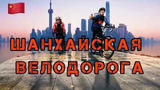 Главное веломесто в Шанхае. Ворчу на прохожих.