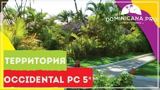 Occidental Punta Cana 5 * overview of hotel grounds and pools