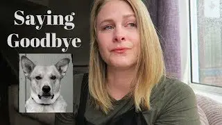 My dog died (sorry that I've been gone)