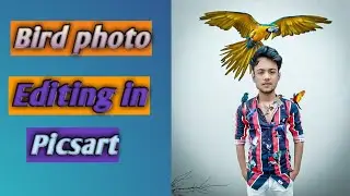 Bird photo editing ||vijay mahar bird photo editing ||picsart Editing ||BK editing world