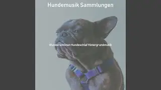 Makellos (Hunde Schlafen)