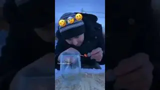 ОПАСНАЯ ПЕТАРДА🤔 