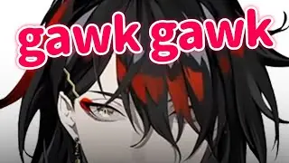 Vox gives you the gawk gawk