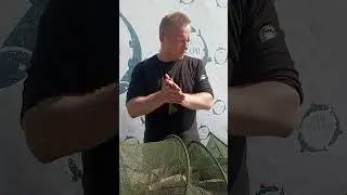 17 июня 2023 г.