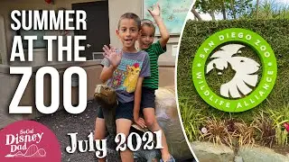 San Diego Zoo BUS TOURS ARE OPEN and Summer is Here | July 2021 Vlog
