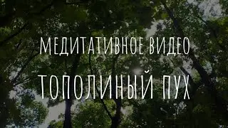 Медитативное видео. Тополиный пух