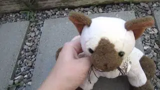 Wednesdays TOP 5 FAV WEBKINZ! :D