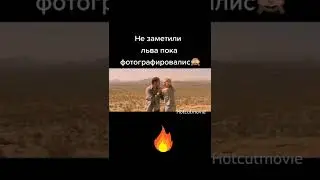 Не заметили льва #shorts #кино #фильмы