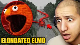 Drone Catches ELONGATED ELMO Outside My House...