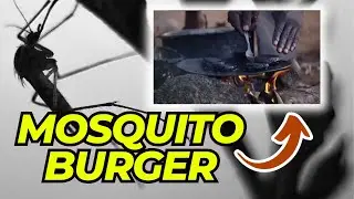 Are Mosquito Burgers A Genius Solution To Food Shortages?