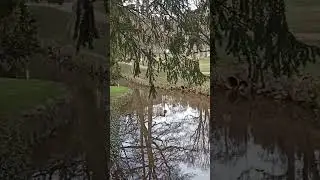 Jaro Mariánské Lázně 2024