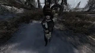 Skyrim Survival No Death Run!