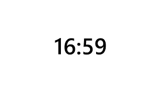 Timer for 16 minutes and 59 seconds