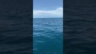 Иссик-Куль