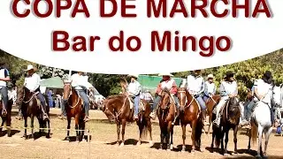 Copa de Marcha do Bar do Mingo 2016 - Por Gabi Gobo, Blog Jeito de Cowboy
