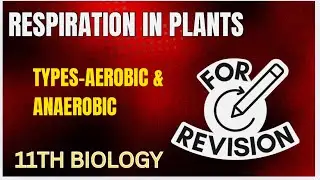 Respiration in plants |Types of Respiration|| 11th Biology || Sonia Kaushik || KC Biozone