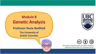 8M - Using a statistical test