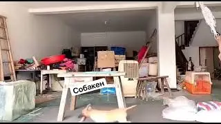 Когда я остаюсь один дома, я ещё и не такое делаю 🤣