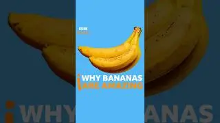 Why you should go bananas… for bananas #BBCIdeas #Bananas