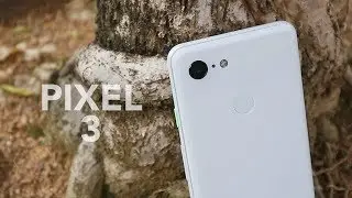 I Lost The Pixel 3 OLED Lottery