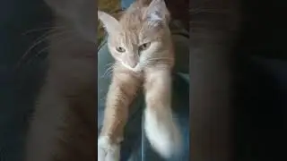 Тохтомышка 16.04.22