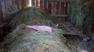 Ручной пресс для сена