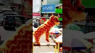 NGAMUK Di Karnaval Barongsai