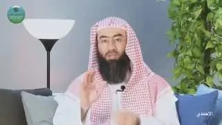 ХIора денна дика Iамал, 4-гIа де: Миска стаг вузор