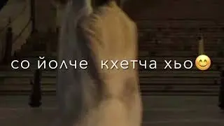 Элина Исаева-хьоьца хила лаьа яхар🔥#чеченскиепесни #атмосфера #нохчи #темнота