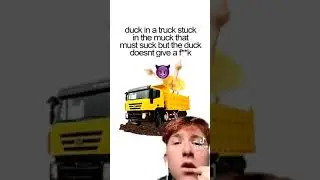 duck🐤