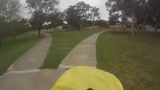 Cranky magpie!
