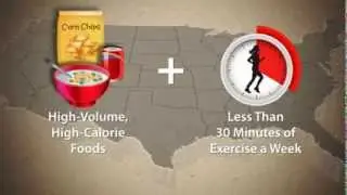 Why Are We Obese?