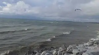 Lake Shore View