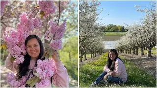PICTORIAL WITH FRIENDS ANYWHERE||SPRING 2022