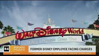 Ex-Disney World employee accused of taking videos up a woman's skirt