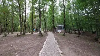 Şabran rayonu Qalaalti / Sərin bulaq  məşədə istirahət