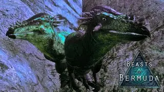 We Start Our Pachy Adventures! Growth to +2.7 And Reincarnation Progress-Beasts of Bermuda Gameplay-