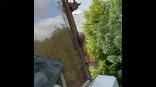 🐿️Белки тоже хотят быть в центре событий
