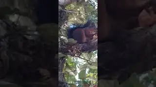 И как всегда- ко мне задом