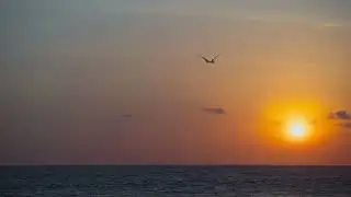 Under The Same Sun (Instrumental)