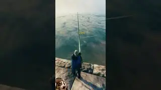 FISHING GUIDE - Valheim 