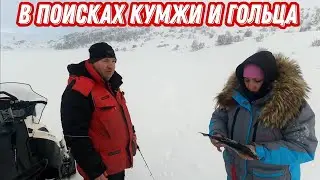 На МОТОБУКСИРОВЩИКЕ в поисках ГОЛЬЦА и КУМЖИ. Съездили в гости на ДАЛЬНИЙ КОРДОН.