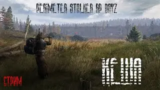 PERIMETER  STALKER RP DayZ ☢️ Стрим № 48